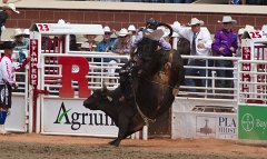 Calgary Stampede-2298